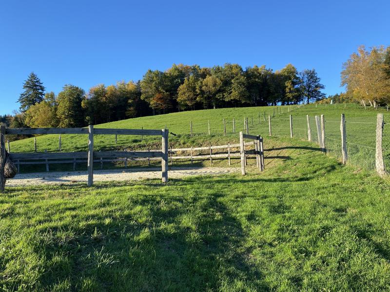 Maison ancienne - 300 m² - 7 pièces