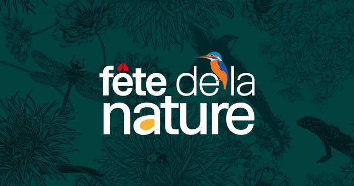 Fête de la nature : les reptiles