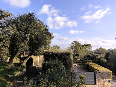 Villa - 167 m² - 7 pièces