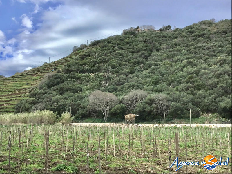 Terrain agricole - 4 000 m²