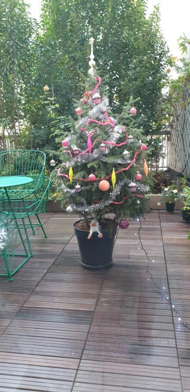 Appartement - 110 m² - 5 pièces