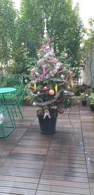 Appartement - 110 m² - 5 pièces