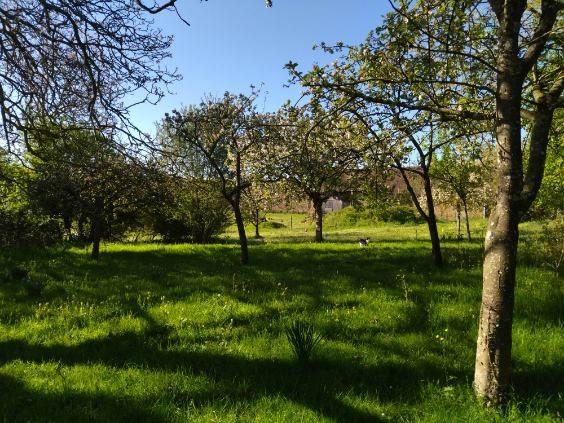 Ferme - 80 m² - 3 pièces