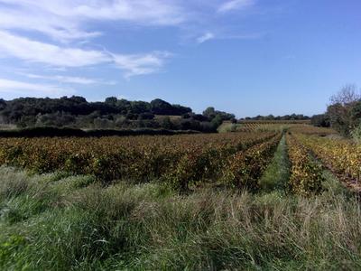 Terrain de loisirs - 2 300 m²