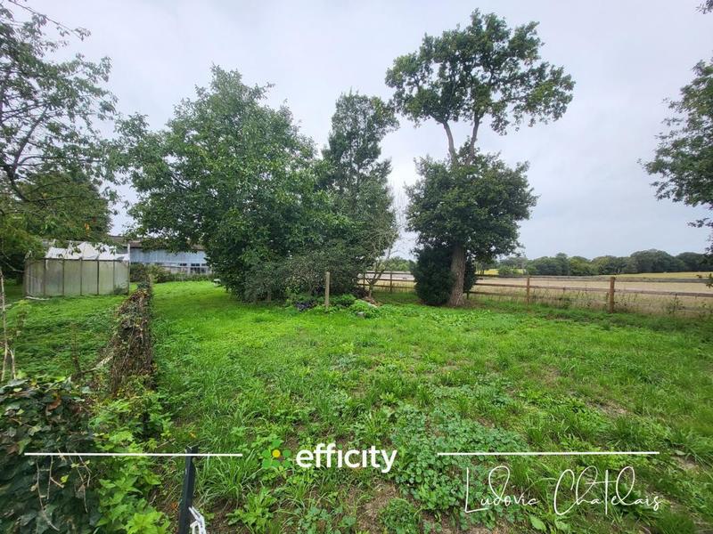 Appartement - 74 m² - 3 pièces