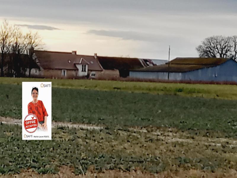 Ferme - 233 m² - 5 pièces