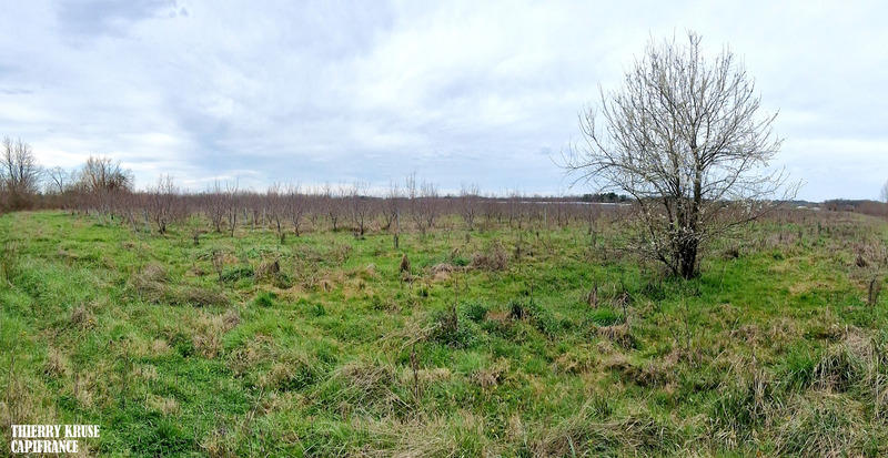 Terrain agricole - 120 000 m²