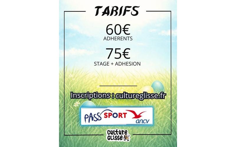 Stage Trotinette Culture glisse