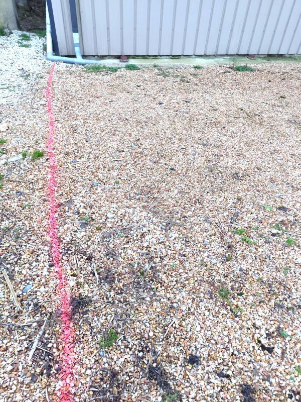 Bureau - 81 m² - 1 pièce