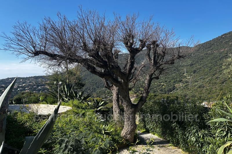 Mazet - 88 m² - 4 pièces