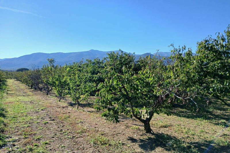 Terrain agricole - 7 121 m²