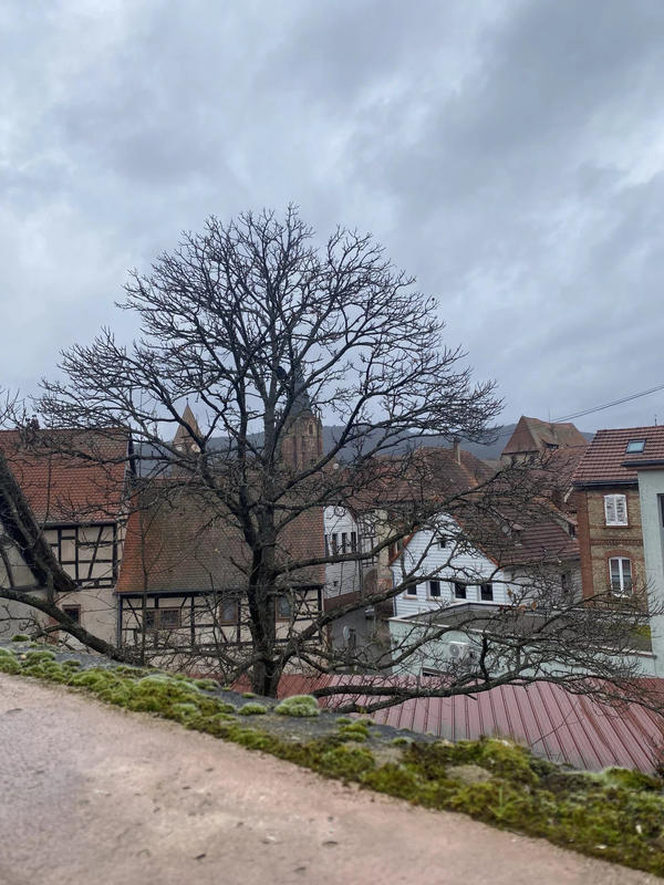 Immeuble - 1 200 m²