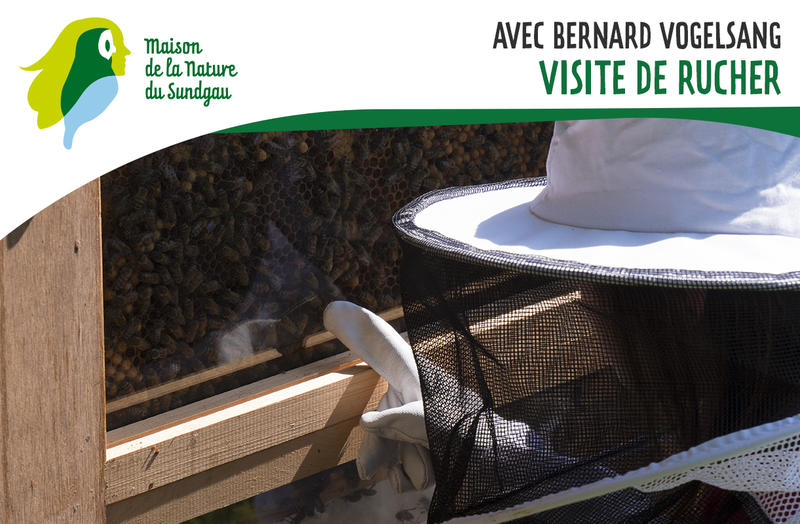 Visite de rucher - à partir de 5 ans