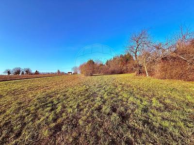 Terrain constructible - 2 651 m²