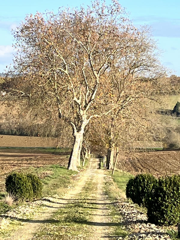 Maison - 280 m² - 7 pièces