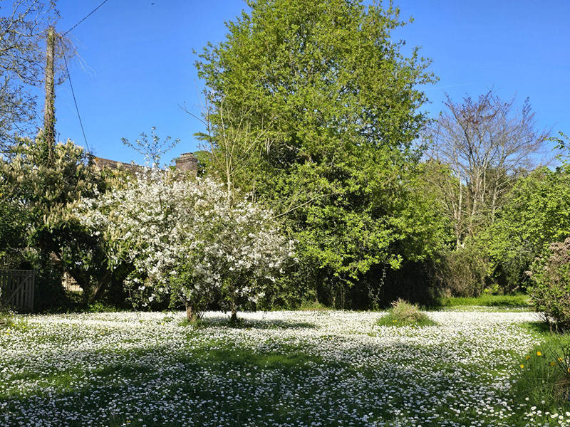 Maison - 170 m² - 7 pièces