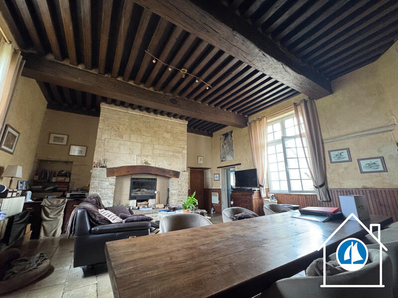 Château - 300 m² - 10 pièces