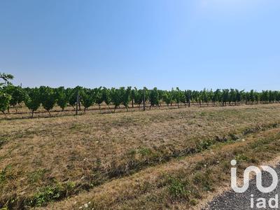 Terrain agricole - 20 497 m²