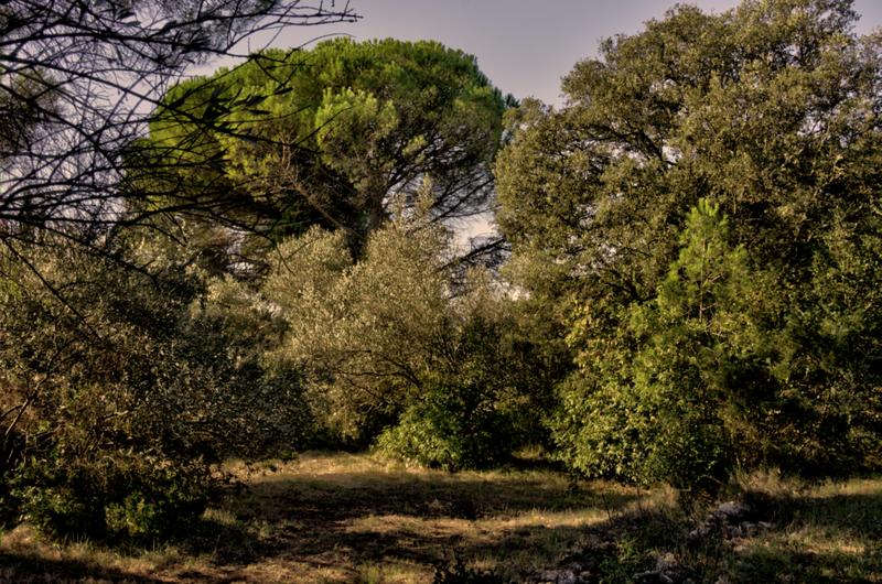 Maison - 67 m² - 3 pièces