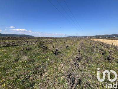 Terrain agricole - 9 795 m²