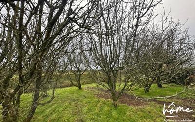 Maison ancienne - 116 m² - 5 pièces