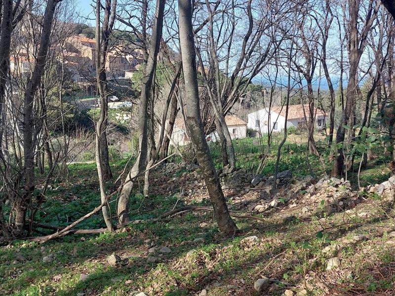 Terrain constructible - 1 361 m²