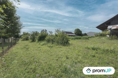 Terrain - 920 m²