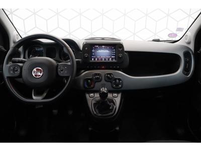 Fiat Panda 1.0 70 ch Hybride Bsg s/S City Life