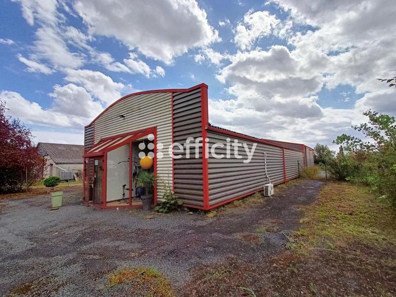 Local d'activité / Entrepôt - 300 m²