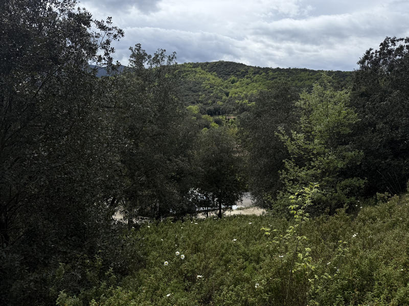 Terrain agricole - 5 780 m²