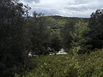 Terrain agricole - 5 780 m²