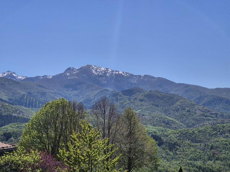 Maison - 380 m² - 8 pièces