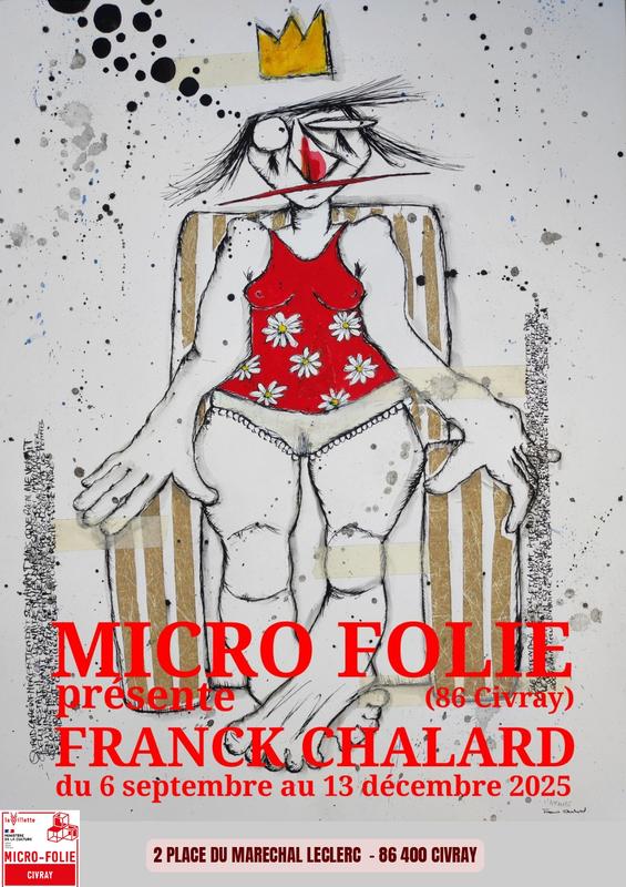 Exposition : Micro Folie présente Franck Chalard
