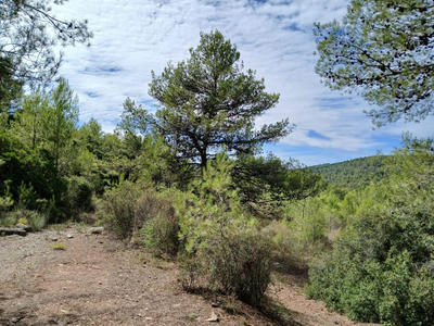 Maison - 148 m² - 4 pièces