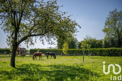 Maison - 142 m² - 5 pièces