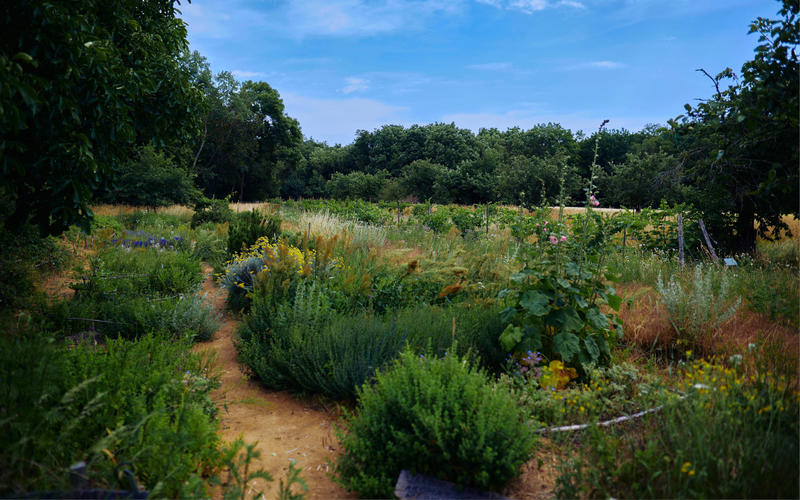 Rendez-vous nature : à la découverte de la nature