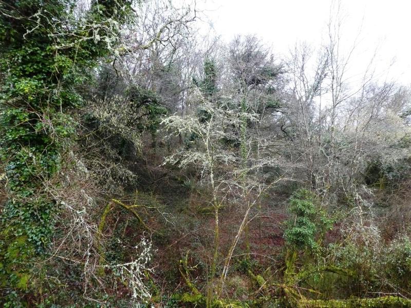 Terrain agricole - 13 922 m²