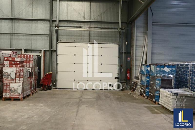 Local d'activité / Entrepôt - 4 800 m²