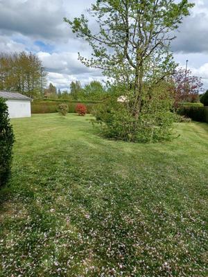 Maison - 105 m² - 4 pièces