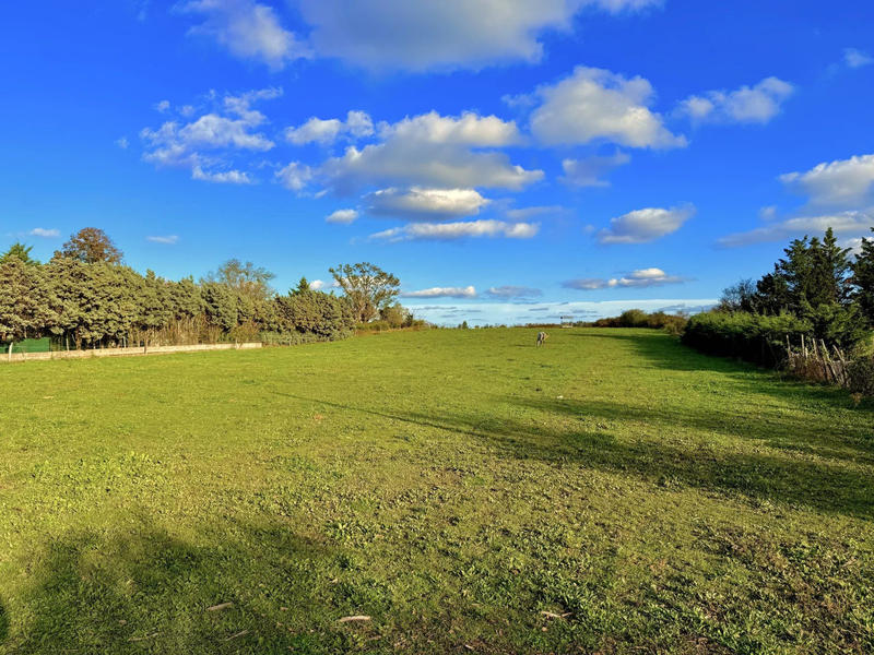 Maison - 168 m² - 7 pièces