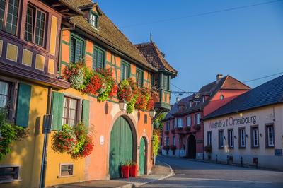 Les mystères du vignoble : Scherwiller