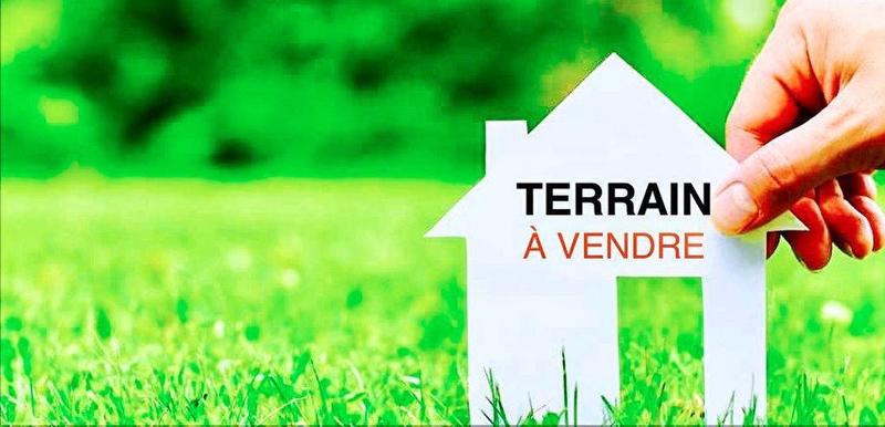 Terrain constructible