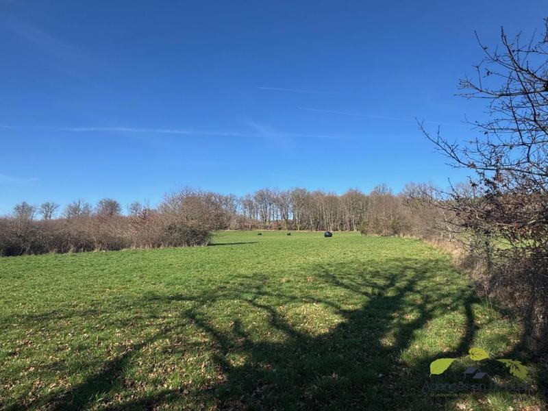 Terrain agricole - 16 270 m²