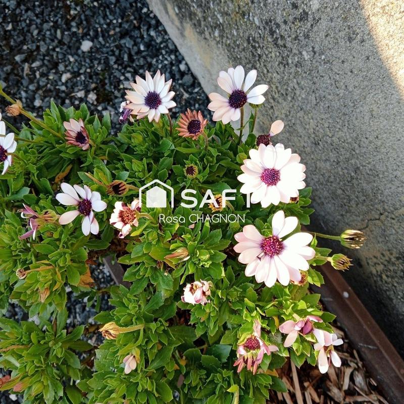 Maison - 180 m² - 7 pièces