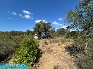 Terrain - 31 975 m²