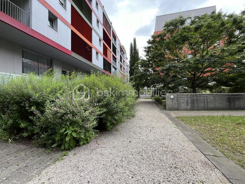 Studio - 33 m² - 1 pièce