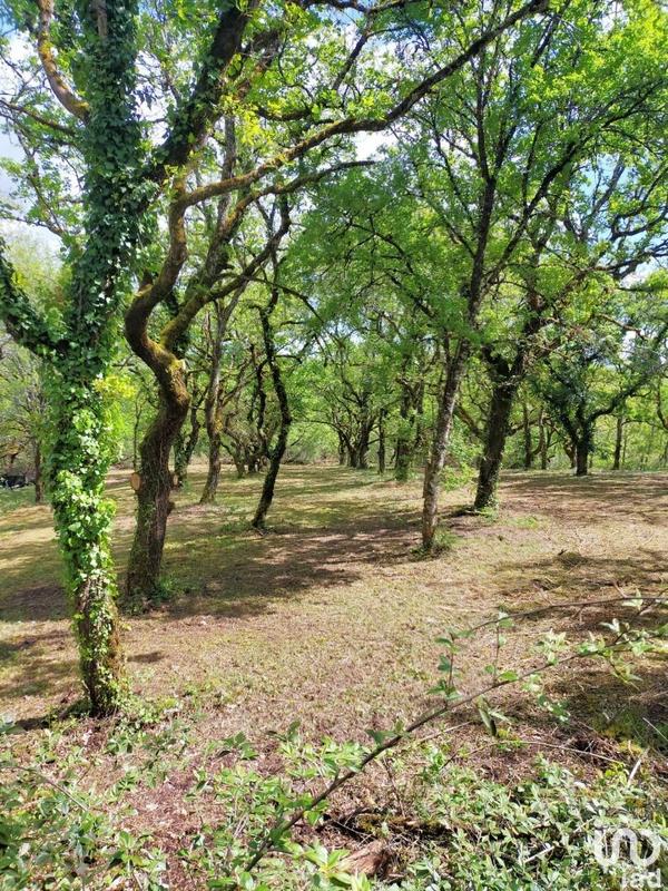 Local commercial - 25 000 m²