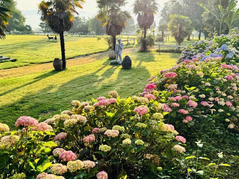 Maison - 365 m² - 8 pièces