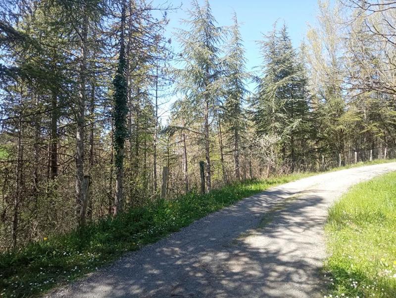 Terrain constructible - 4 000 m²