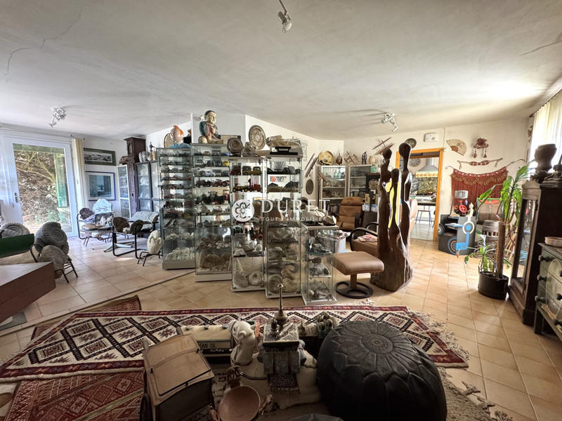 Viager - Maison ancienne - 139 m² - 6 pièces